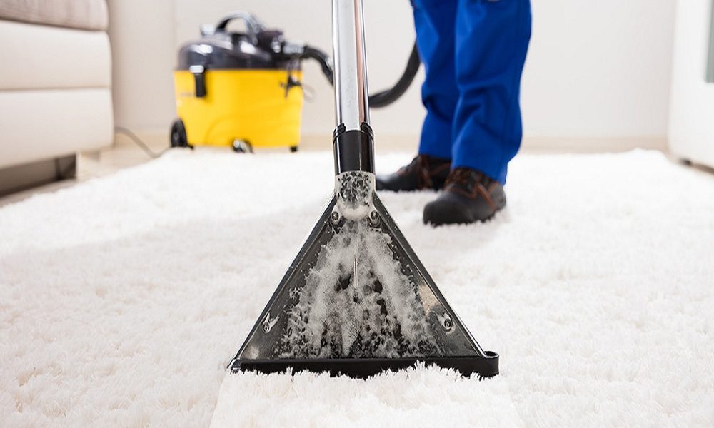 Best Carpet Cleaning Solution